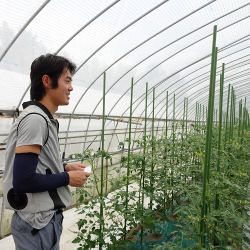 "　比較的年齢層の高めな庄内植酸会であるが、ここで平均年齢をぐっと下げる農家さん登場。川村拓真さん、２０代の専業農家である。地元の農業高校・農業大学校、１年間のオランダ研修を経て、就農６年目という拓真さんは、ミニトマトをはじめ野菜の栽培に取り組んでいる。"