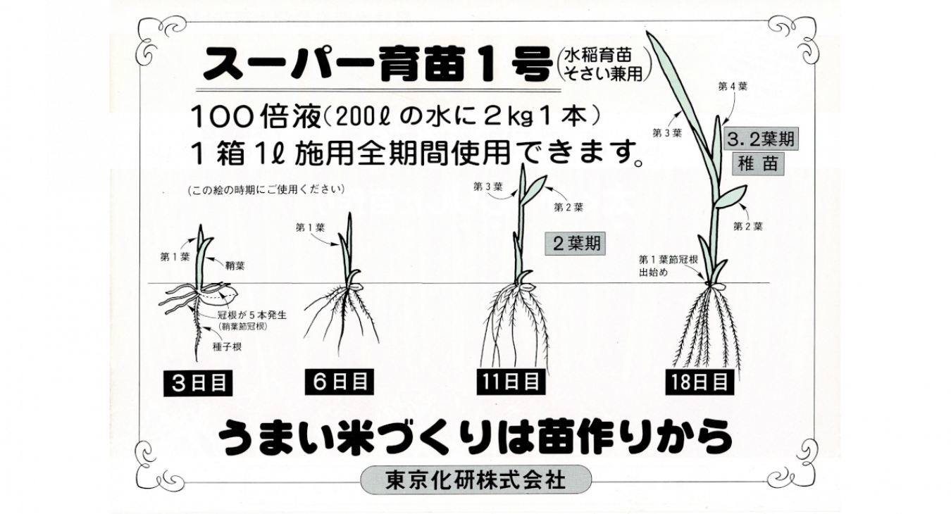 うまい米作りは苗から　100倍液（200リットルの水に2kgl　１本） 1 箱1リットル施用全期間使用できます。
